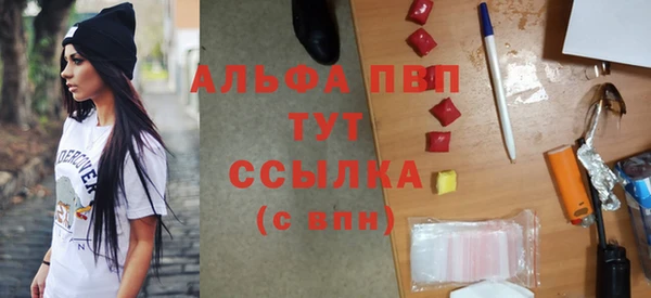гидра Верхний Тагил