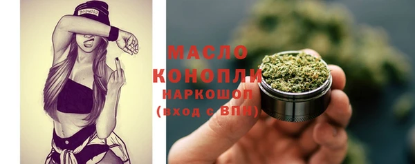гидра Верхний Тагил