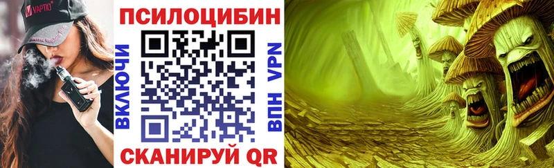 Галлюциногенные грибы мицелий  Купить закладки  Спас-Деменск 
