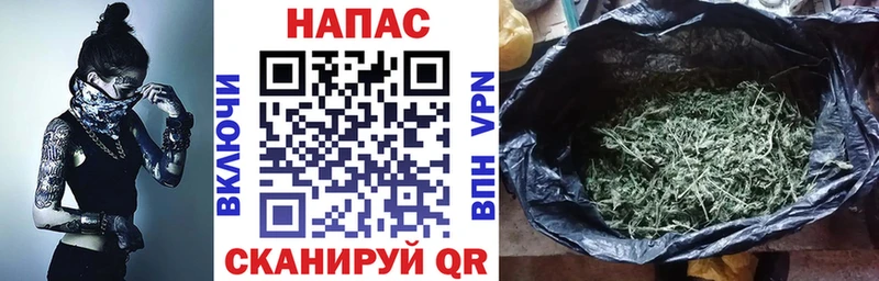 Шишки марихуана план Спас-Деменск
